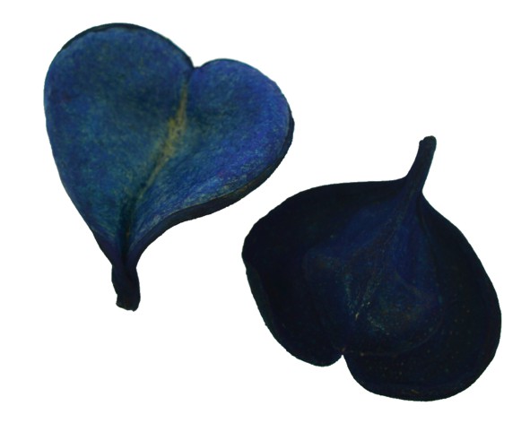 Pereirinha pingente colorido - Azul (unidade)